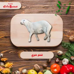 Harri Lamb